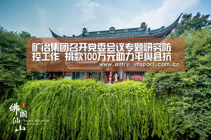 矿冶集团召开党委会议专题研究防控工作 捐款100万元助力平舆县抗击疫情|im赛事(图1) im赛事