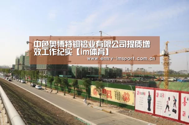 中色奥博特铜铝业有限公司提质增效工作纪实【im体育】(图3) im体育