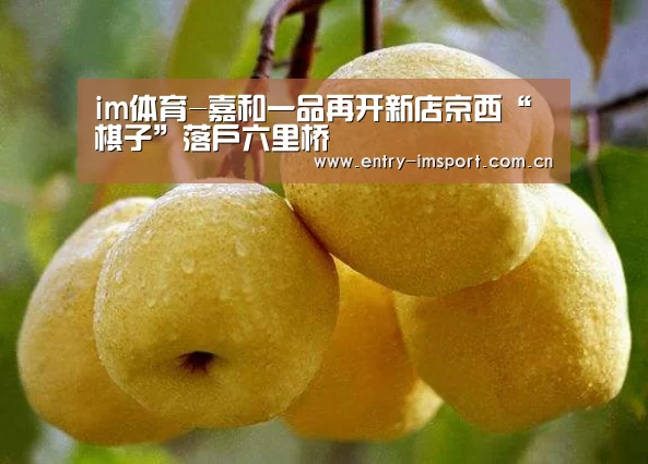im体育-嘉和一品再开新店京西“棋子”落户六里桥(图3) im赛事